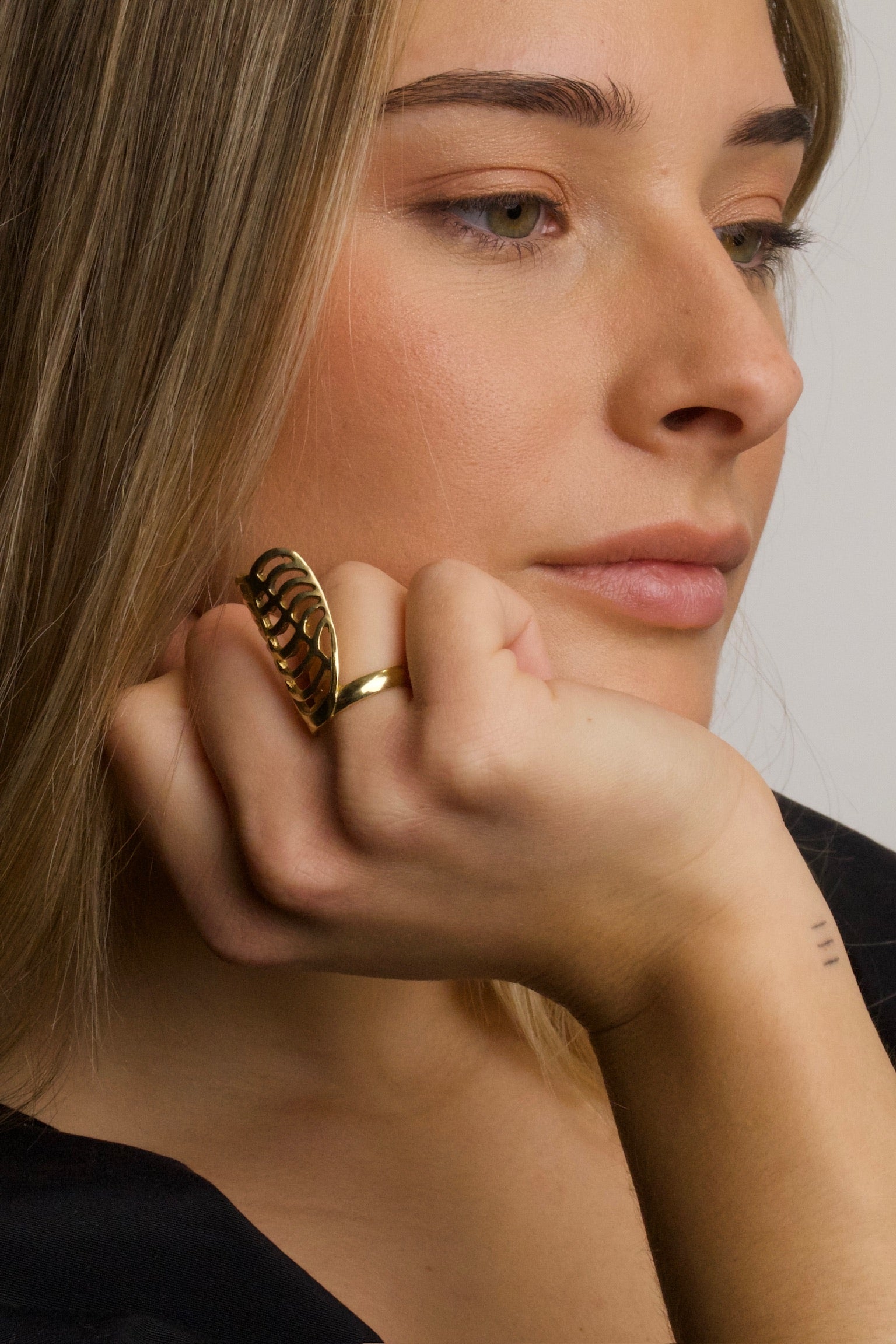 ANILLO ASPIS