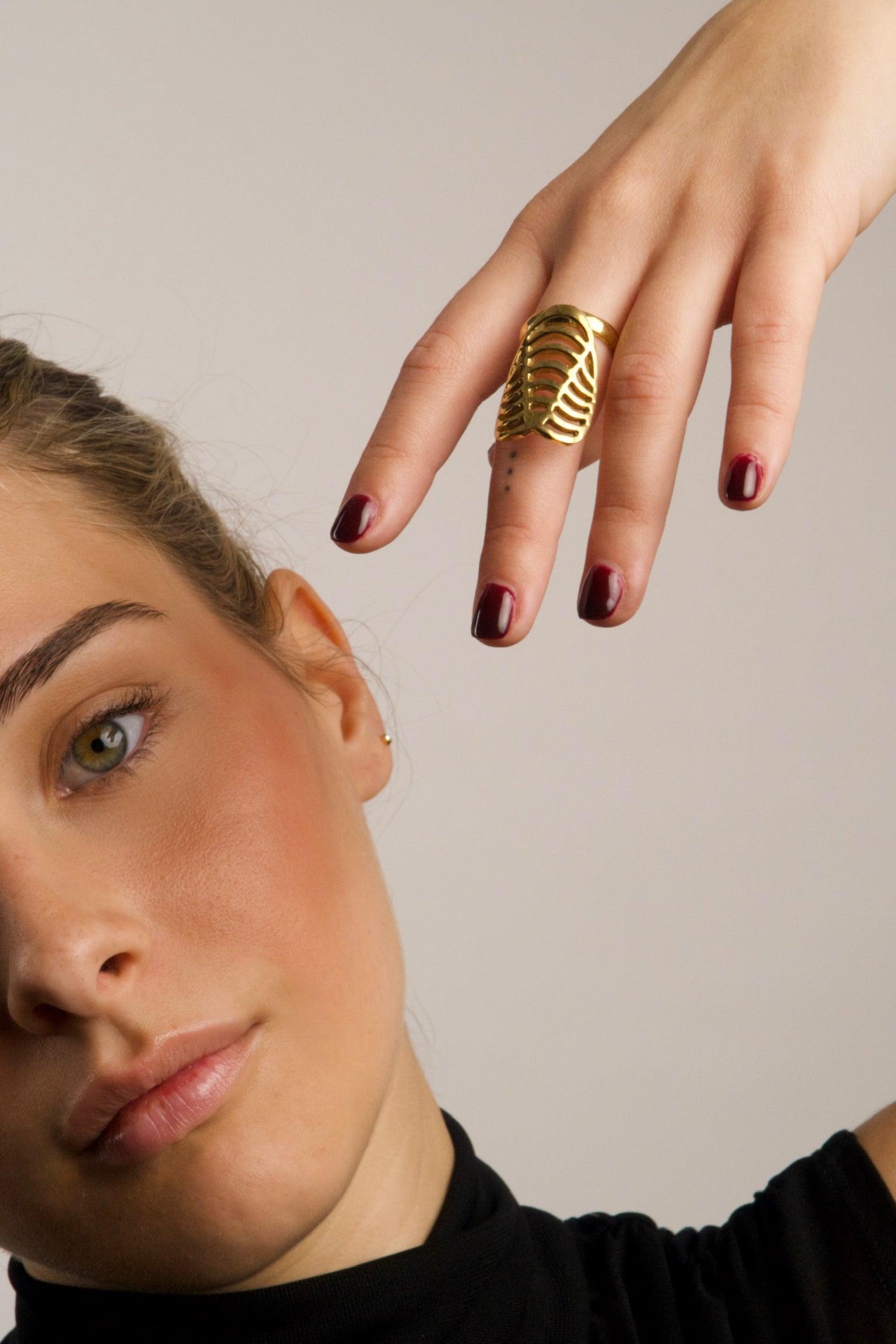 ANILLO ASPIS